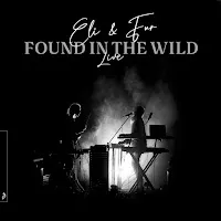 Eli & Fur — Waiting (Eli & Fur's Found Version) [Live] Ft Camelphat — обложка